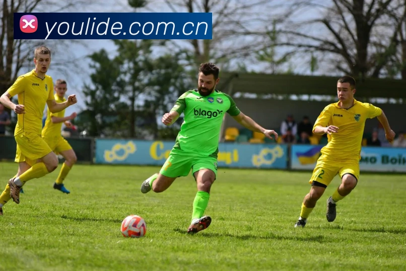 开云官网平台生态图